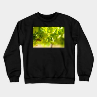 Grapevine Crewneck Sweatshirt